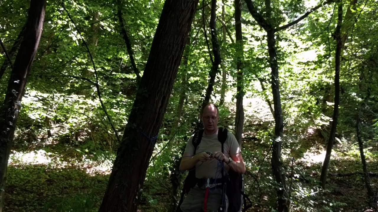 Atterraggio di emergenza su alberi: come mettersi in sicurezza